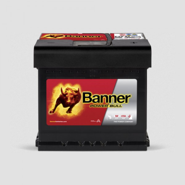 Banner Power Bull P50 03 12V 50Ah Starter battery 450A
