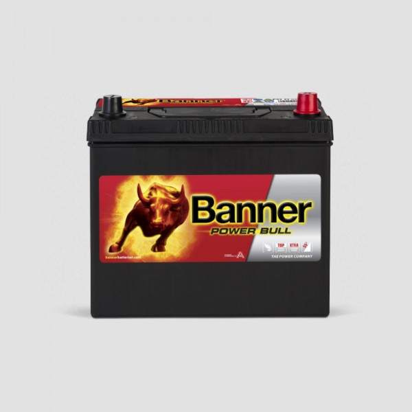 Banner Power Bull P45 23 12V 45Ah Starter battery 390A