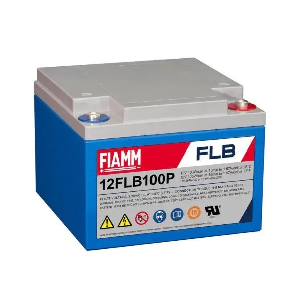 Fiamm 12FLB100P AGM Battery